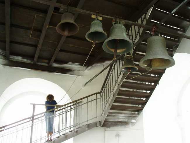 P1010005.jpg