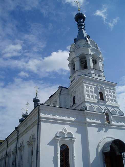 P1010008.jpg