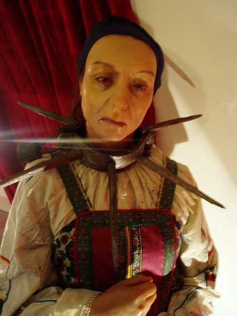 P1010021.jpg