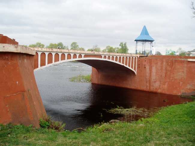 P1010037.jpg