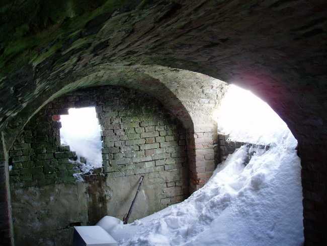 P1010046.jpg