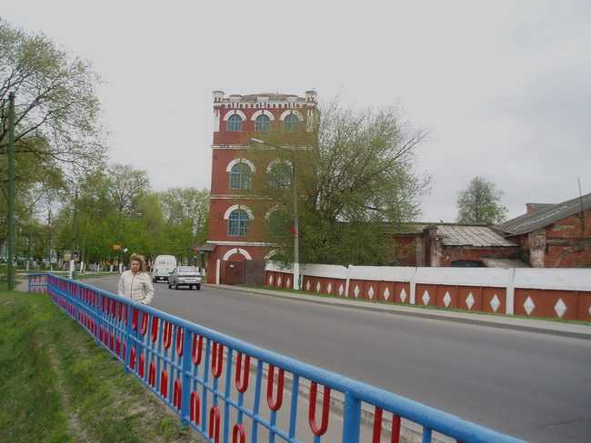 P1010051.jpg