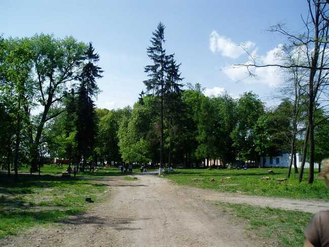 P1010053.JPG