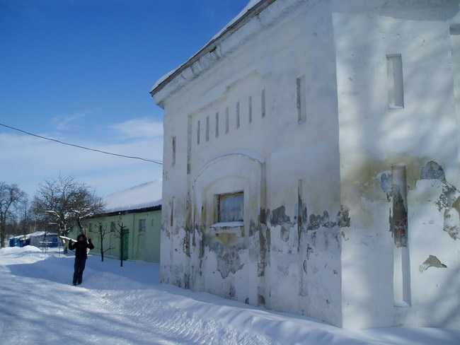 P1010055.jpg