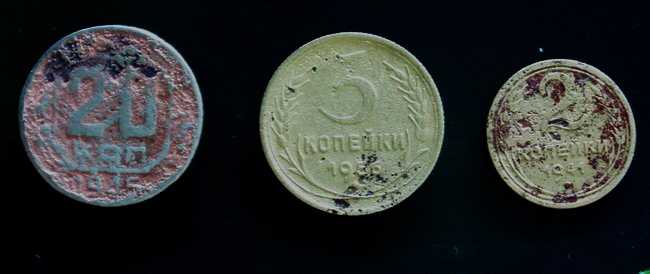 P1010067.jpg