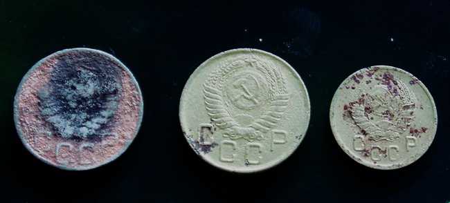 P1010074.jpg