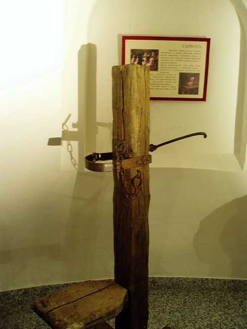 P1010094.jpg
