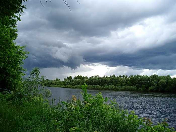 P1010169.jpg
