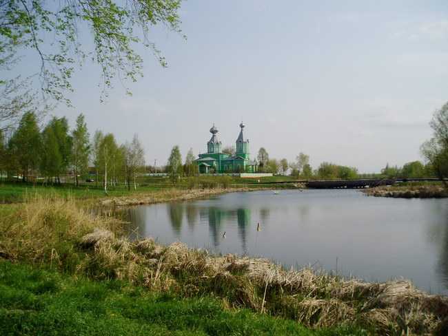 P1010190.jpg