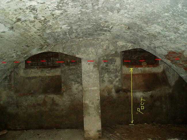 P1010220.jpg
