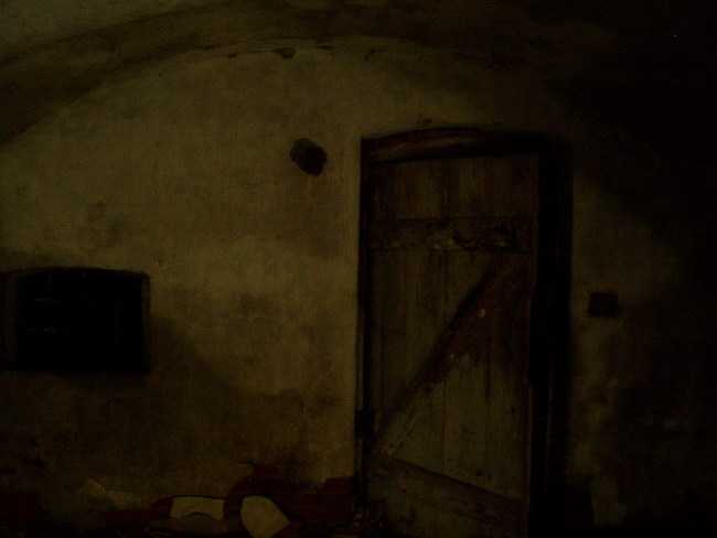 P1010224.jpg