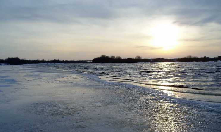 P1010674.jpg