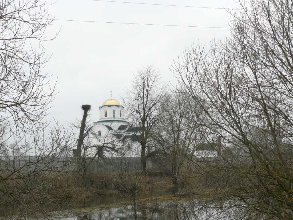 P1020067.JPG