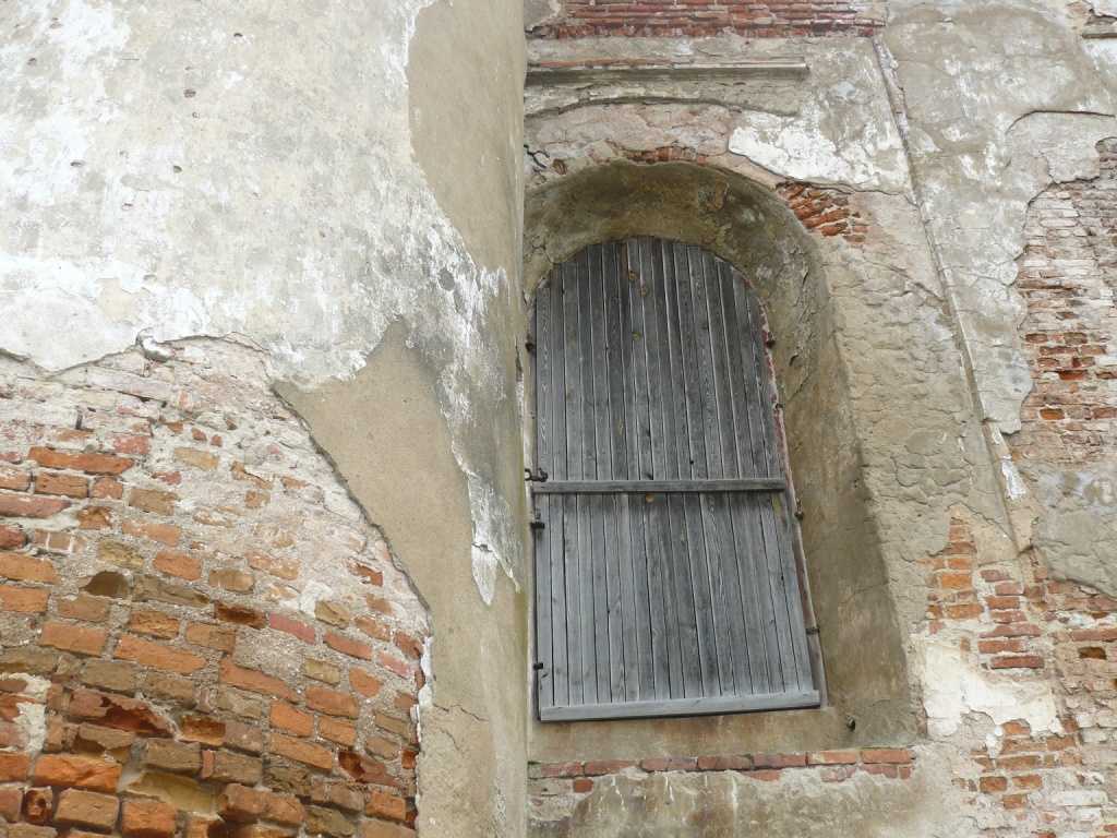 P1020083.JPG