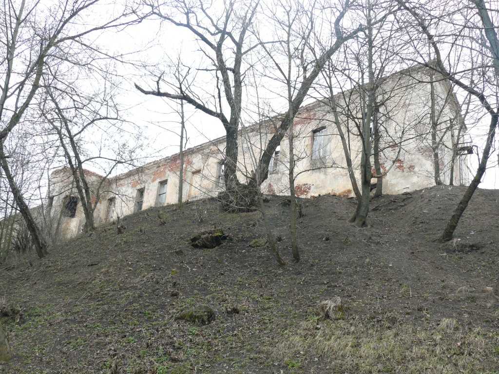 P1020099.JPG