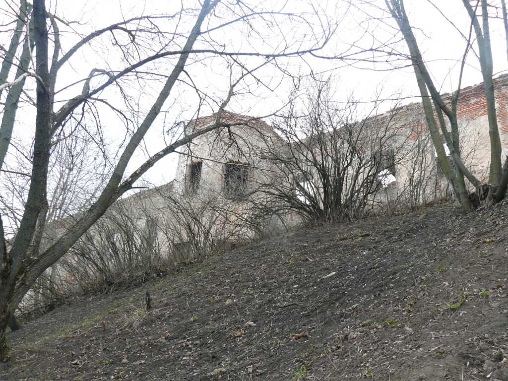 P1020100.JPG