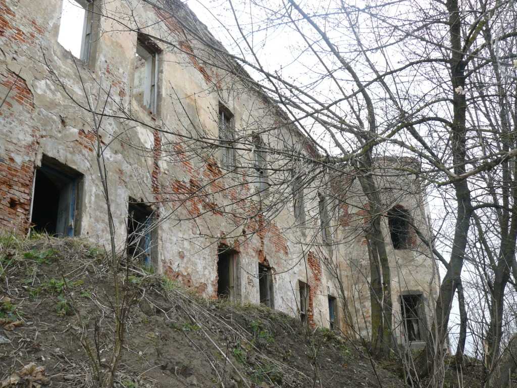 P1020101.JPG