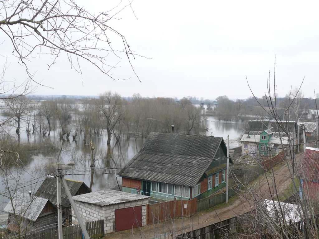 P1020103.JPG