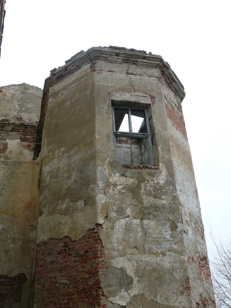 P1020104.JPG