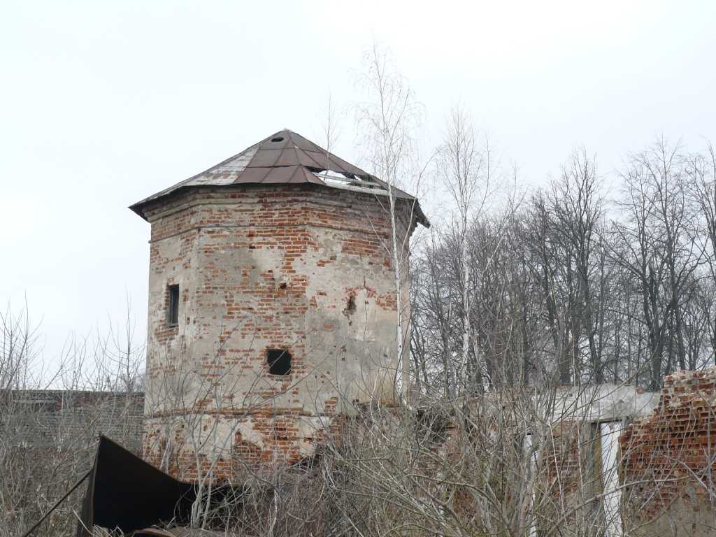 P1020106.JPG
