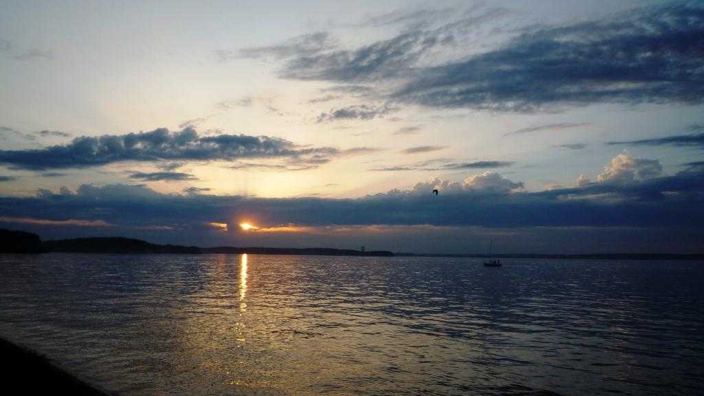 P1020370-.JPG