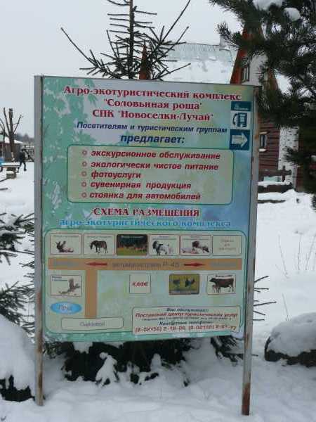 P1020695.jpg