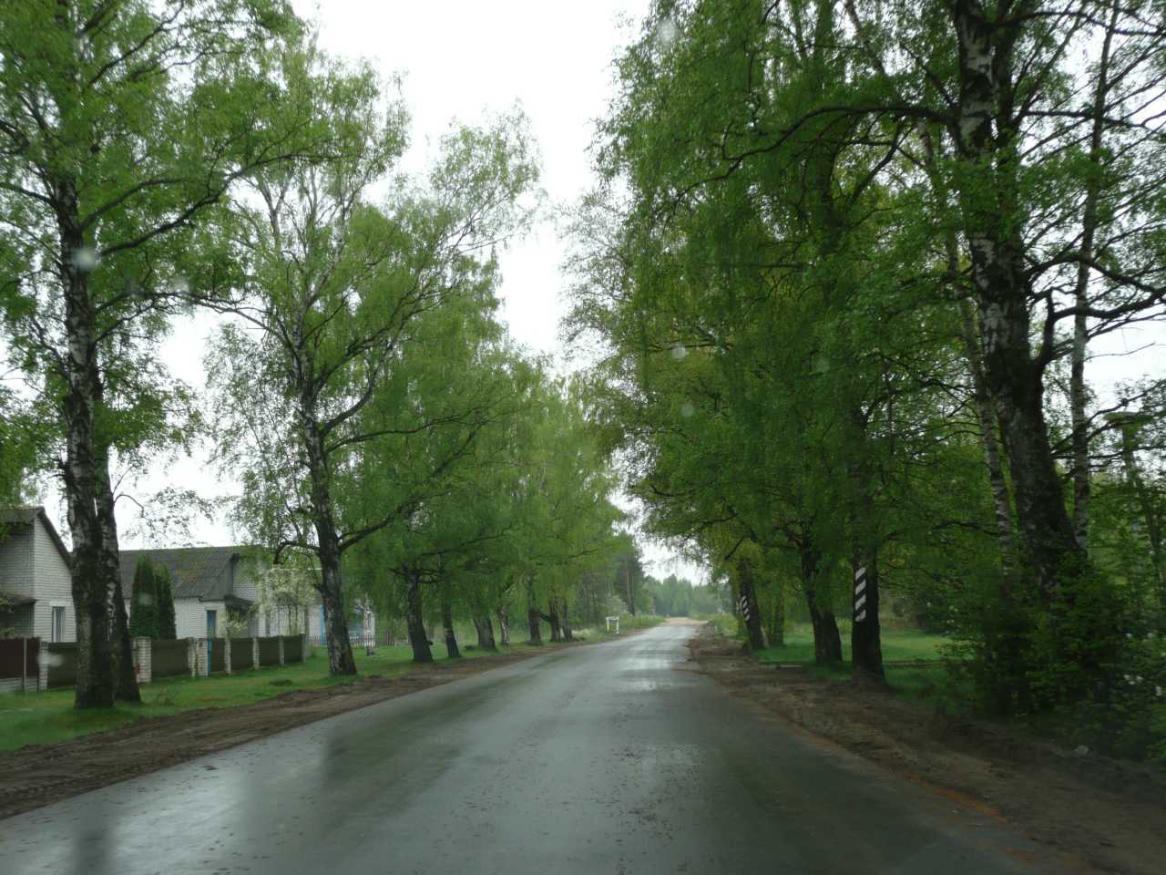 P1030948.jpg