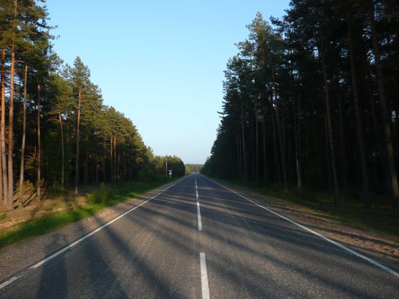 P1030995.jpg