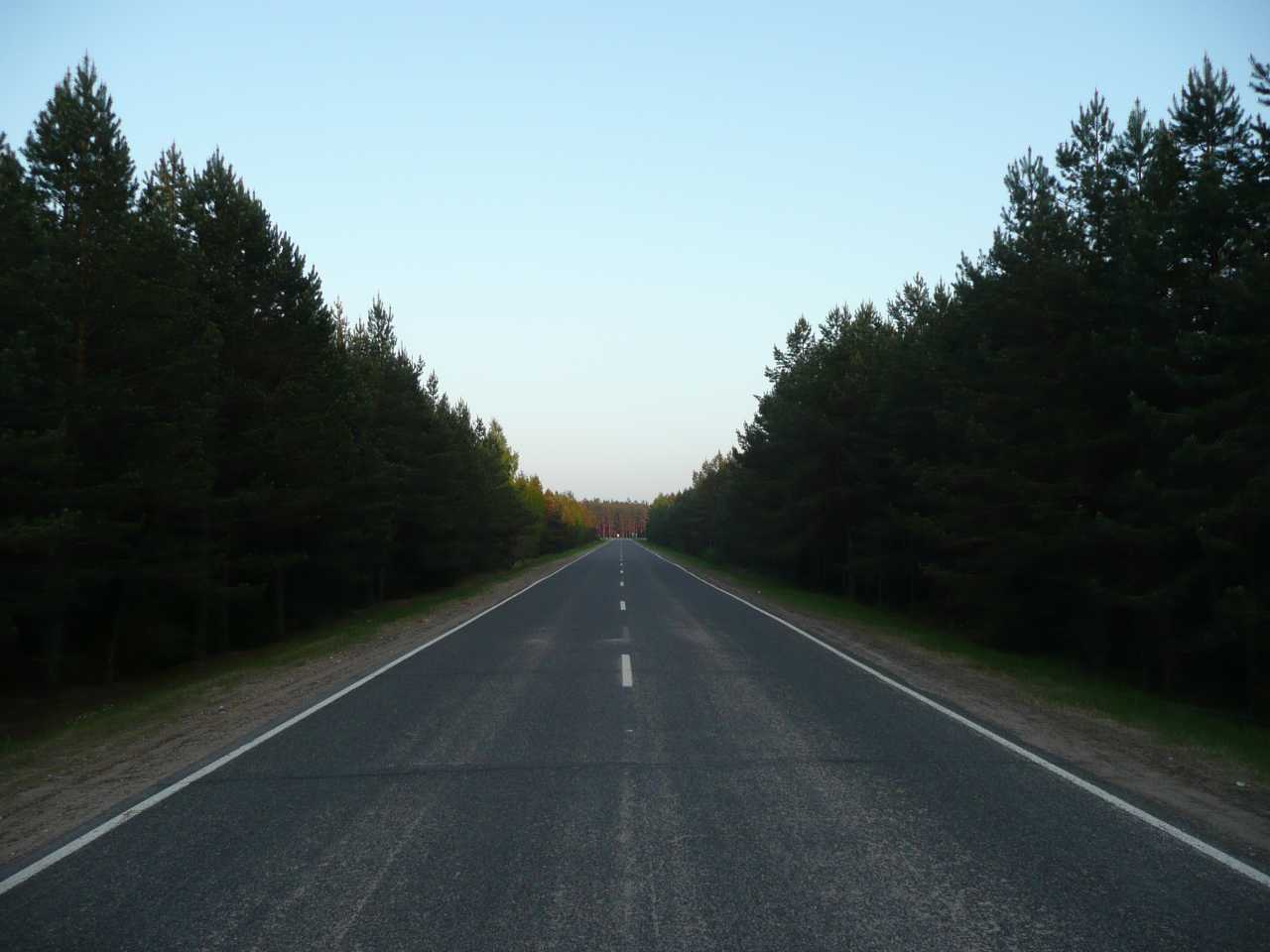 P1030998.jpg