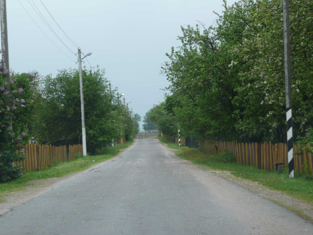 P1040075.jpg