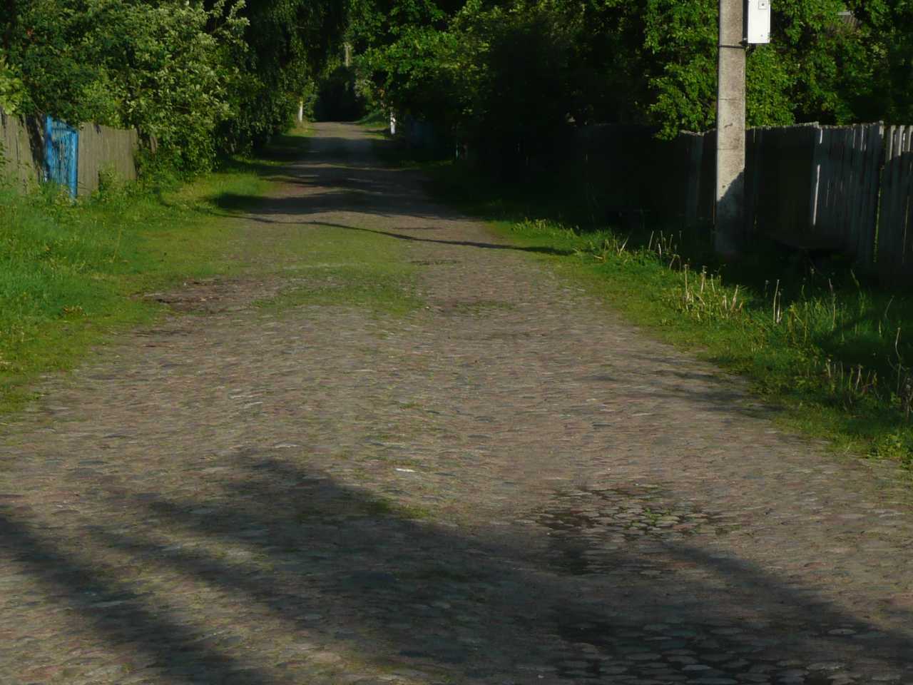 P1040322.jpg