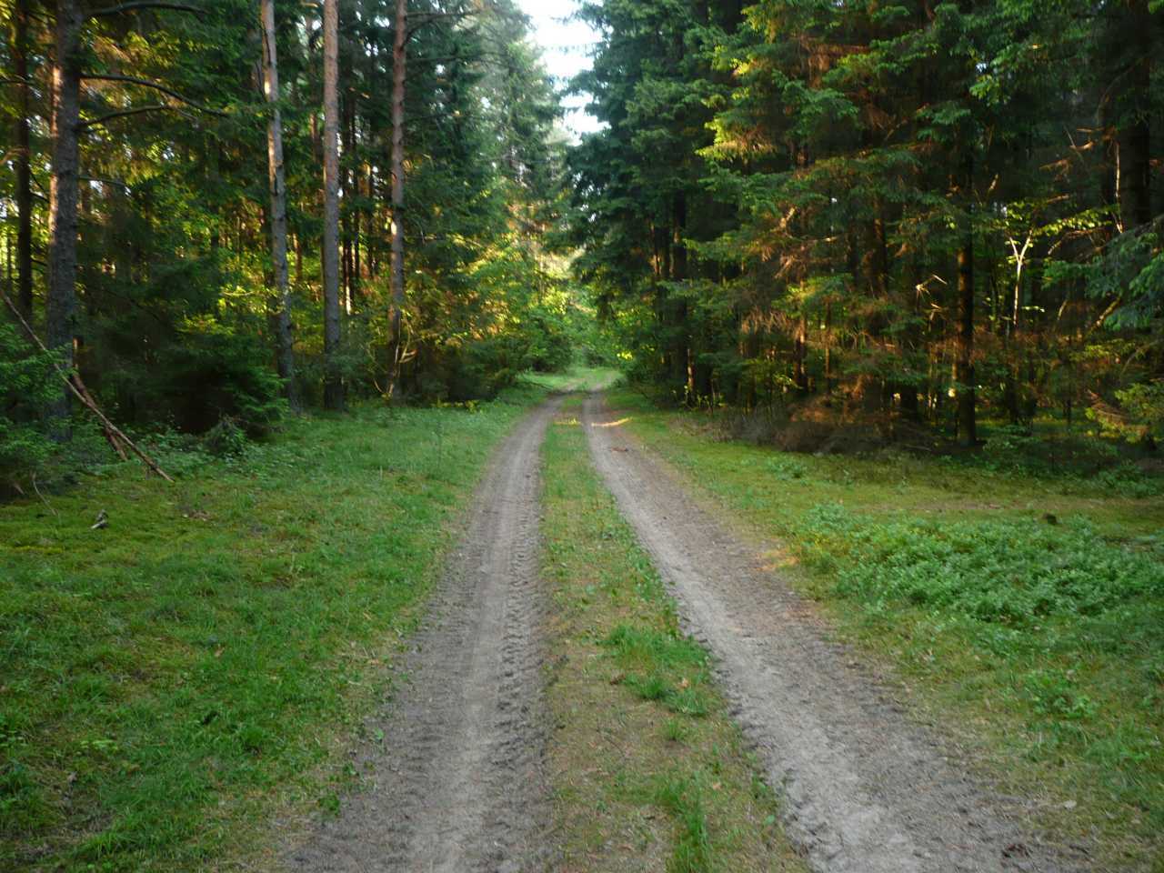 P1040336.jpg