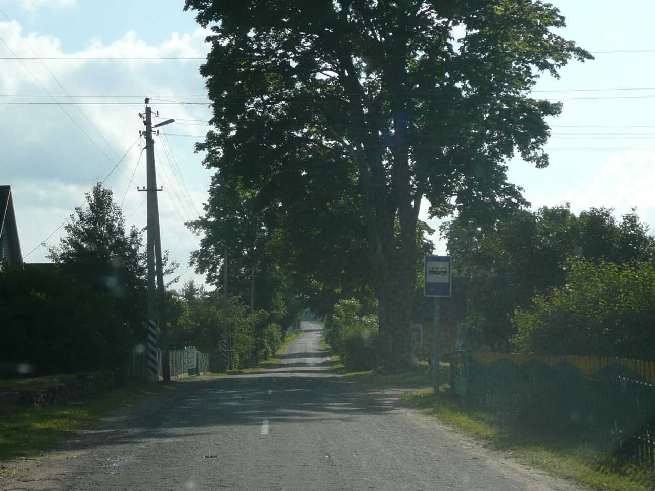 P1040406.jpg