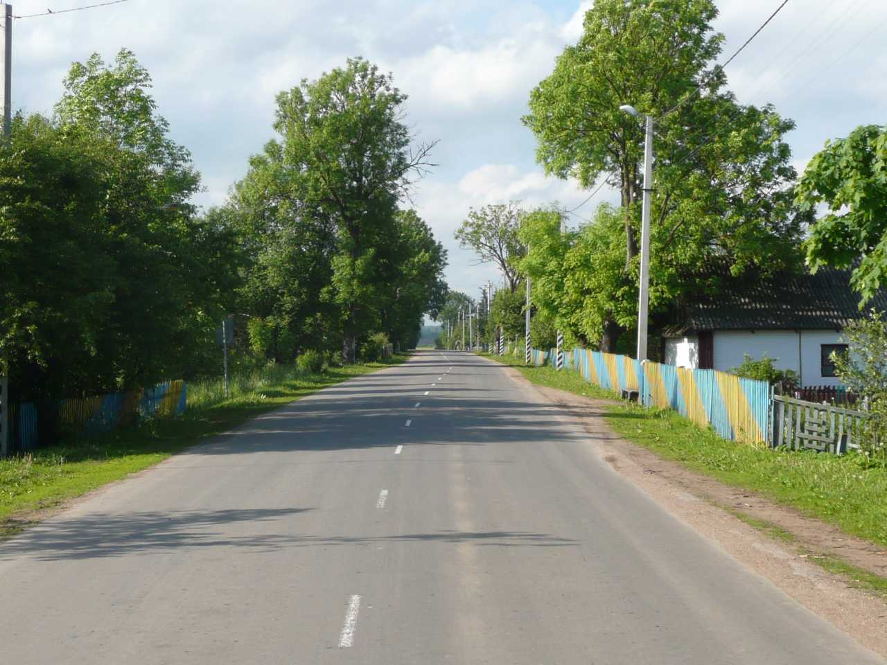 P1040408.jpg