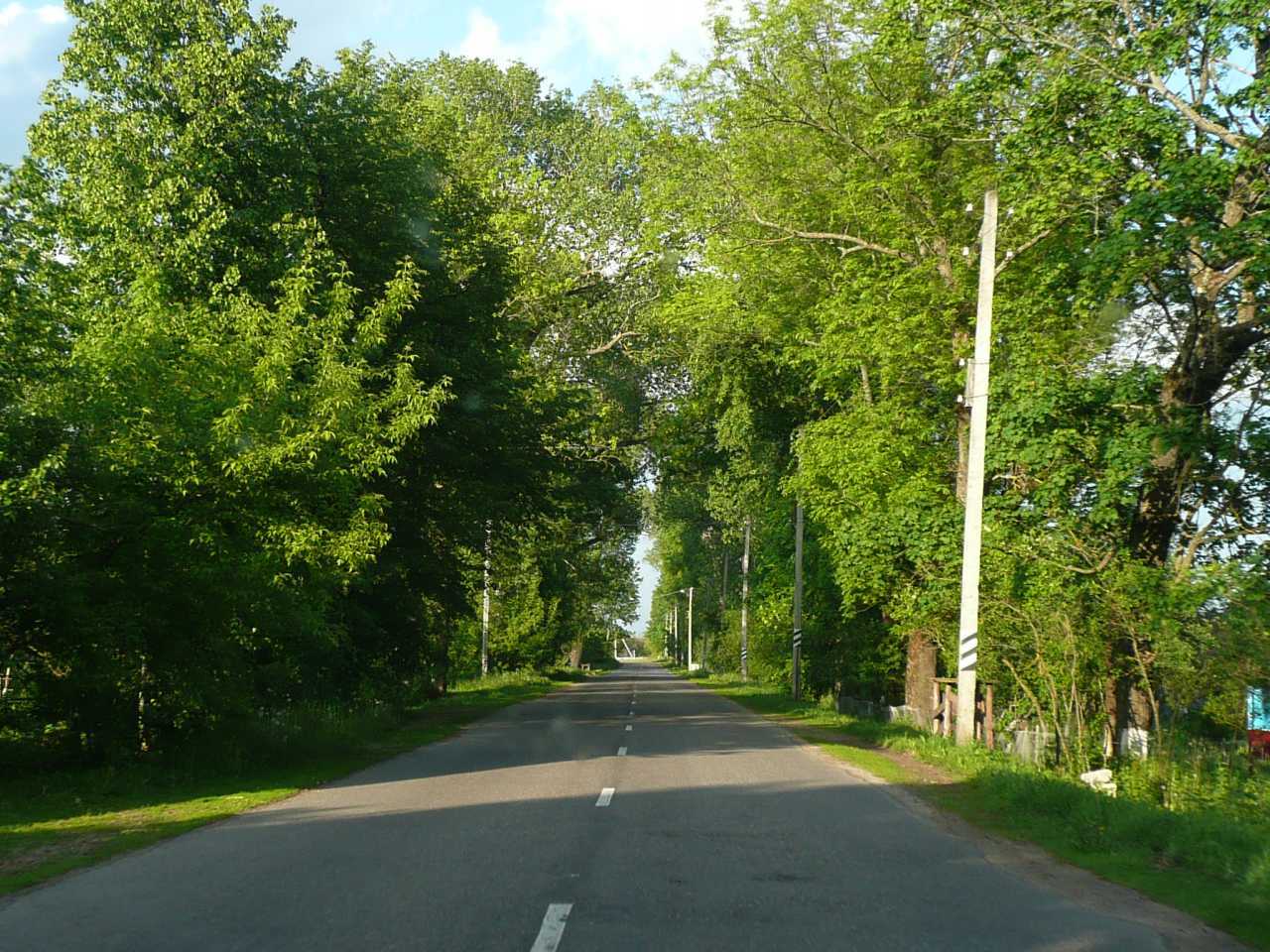 P1040442.jpg