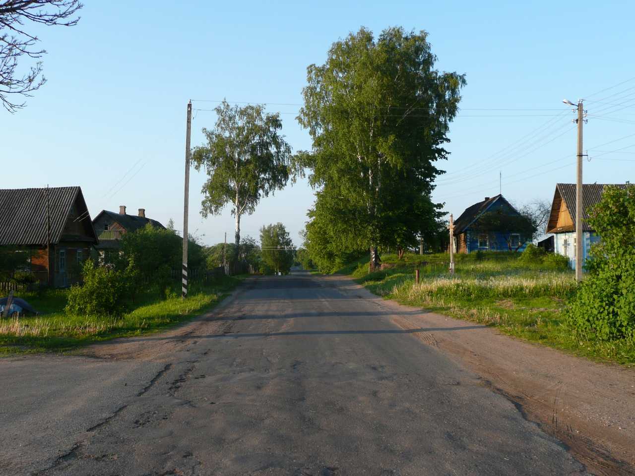 P1040483.jpg