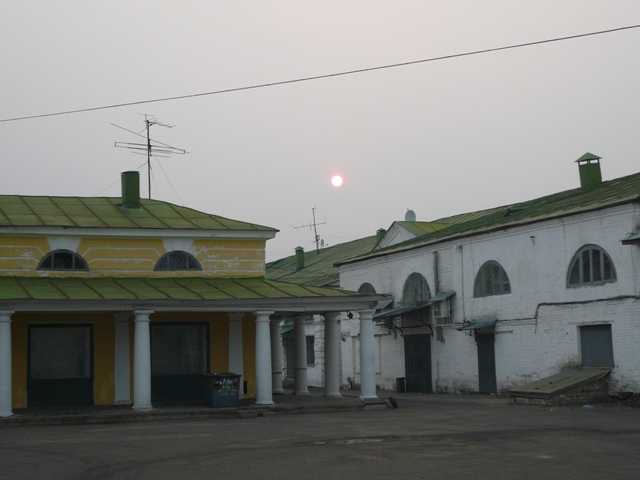P1060978.JPG