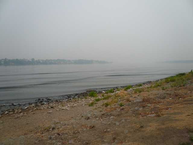 P1060991.JPG