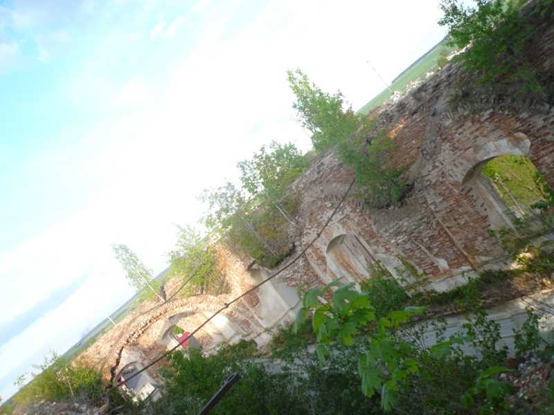 P1070289.JPG
