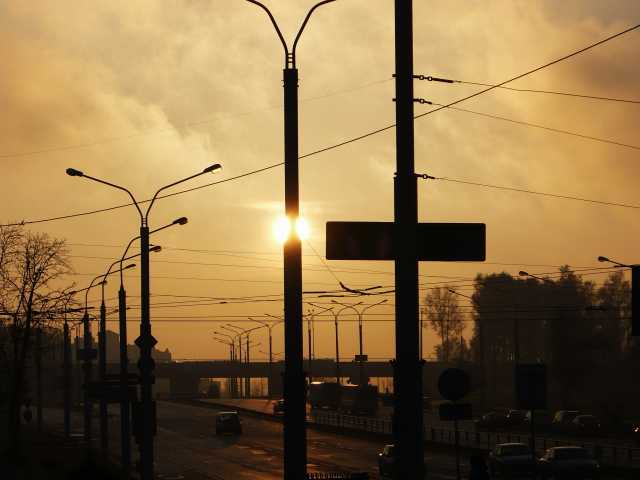 P1150592.jpg