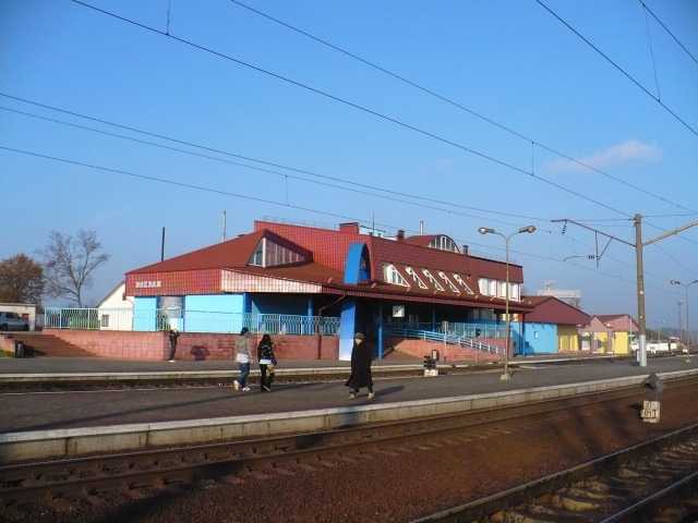 P1150606.jpg