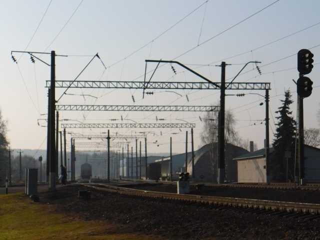 P1150608.jpg
