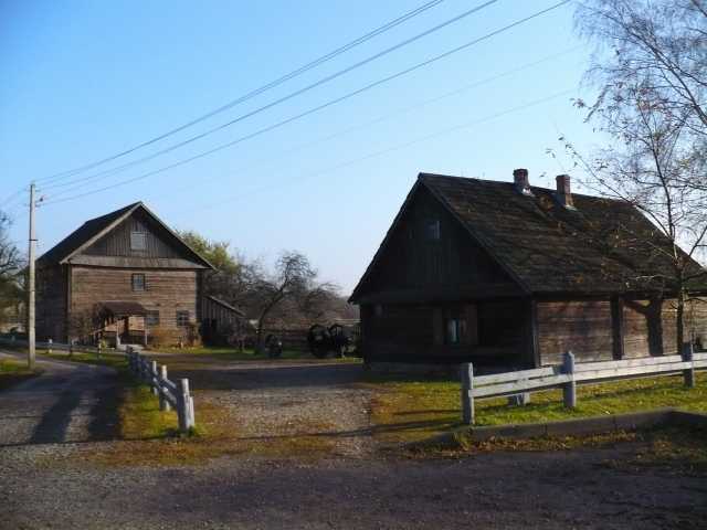 P1150610.jpg