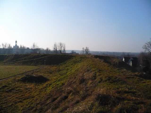 P1150623.jpg