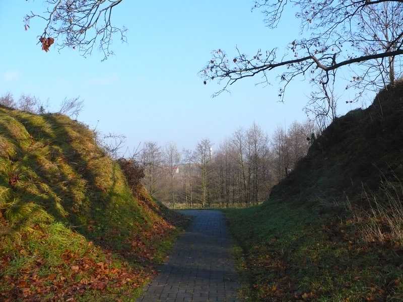 P1150636.JPG