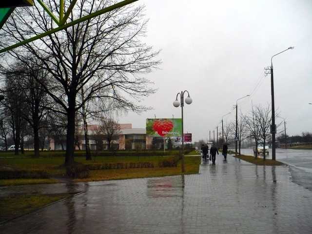 P1150734.JPG