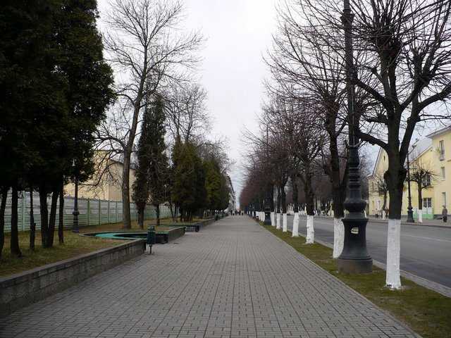 P1170266-1.JPG