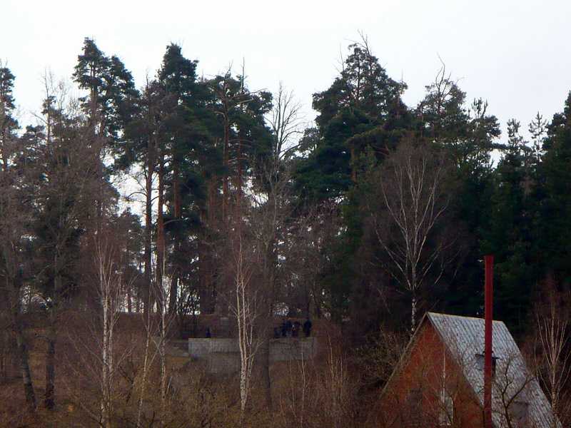 P1170353.JPG