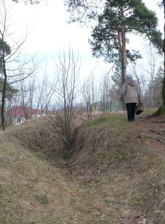 P1170411.JPG
