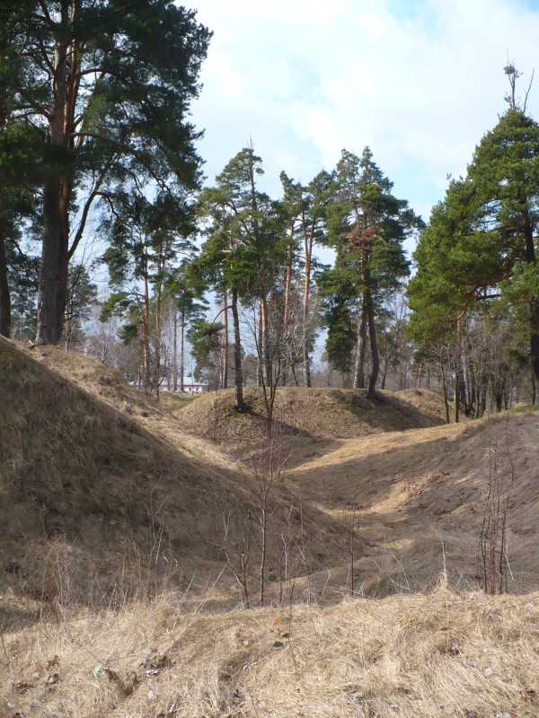 P1170414.JPG